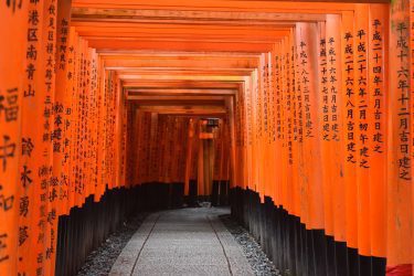 Zen Minded - Shoyeido Incienso Road Nan-shu Chai Incienso Japonés - 20  Varillas y Soporte