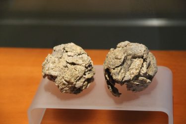 Copal resina aromática