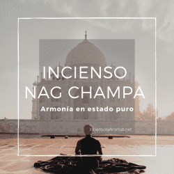 Incienso Satya Surtido Clásico Pack 12 - Nag Champa