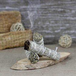 smudges de salvia
