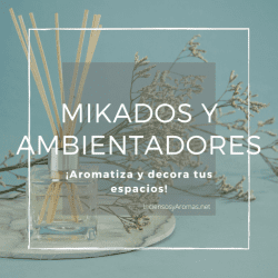 Descubre