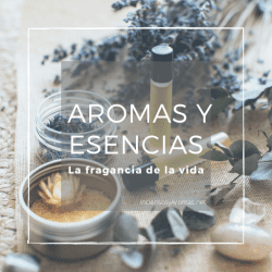 HOME-Esencias y Aromas