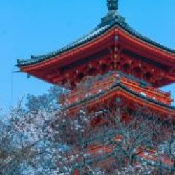 marca incienso japonés Nippon Kodo